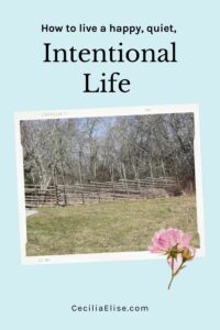 How to live an intentional life