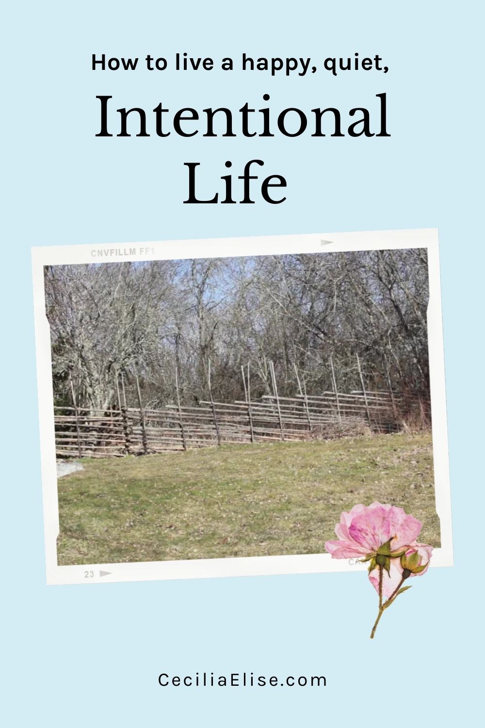 Simple Living Intentional 