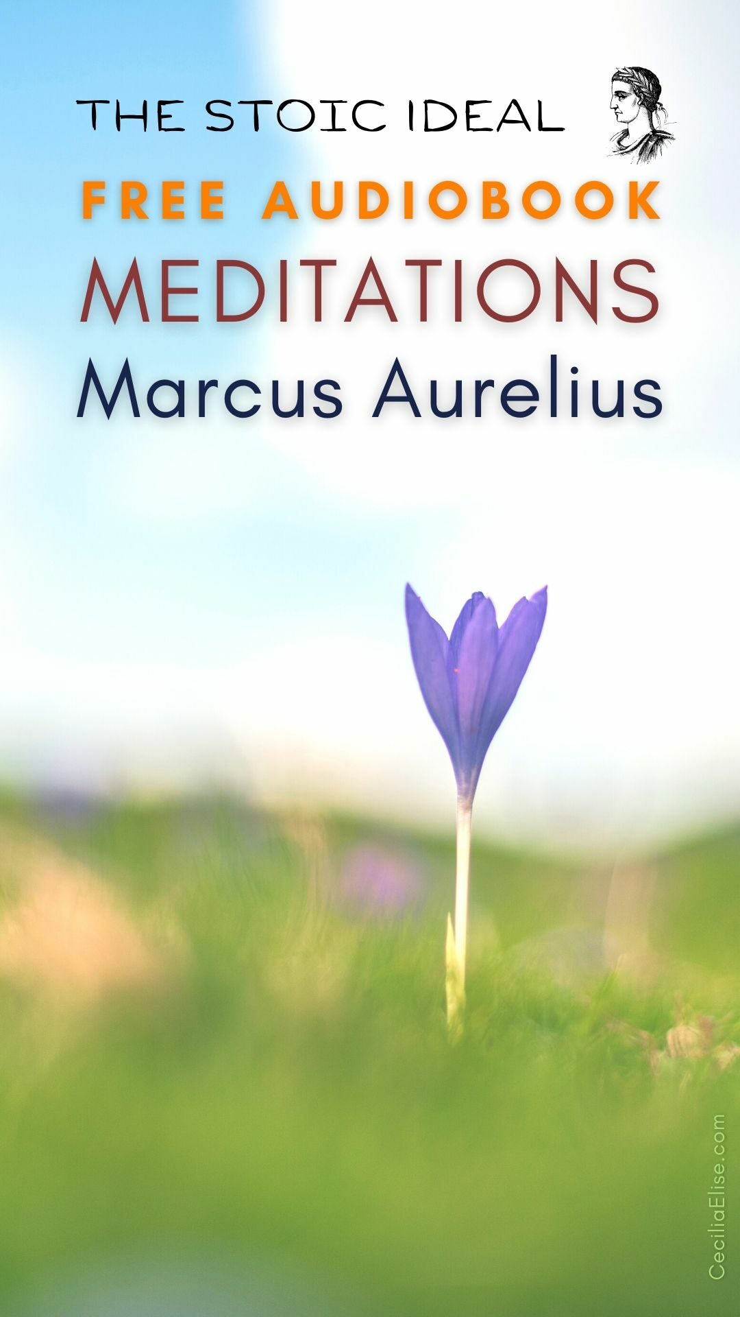 Meditations Marcus Aurelius Audiobook