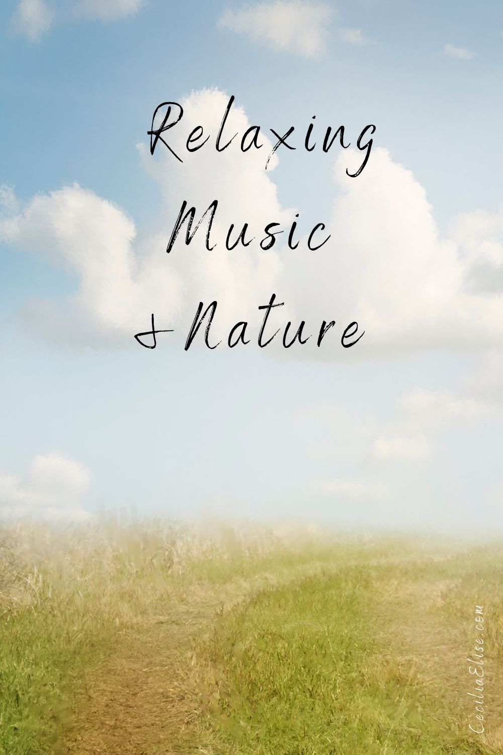Relaxing Music & Nature for Stress Relief 